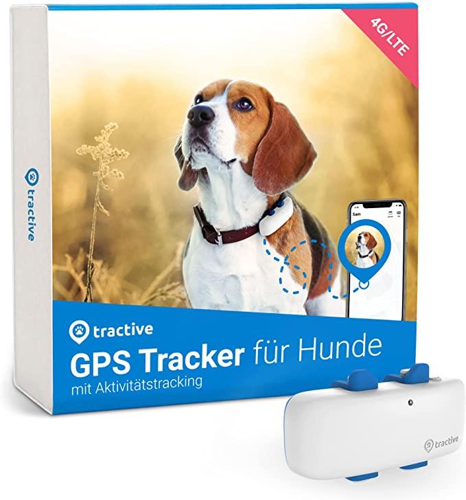 Pet Track a través de GPS: la aplicación Tractive transfiere a su mascota
