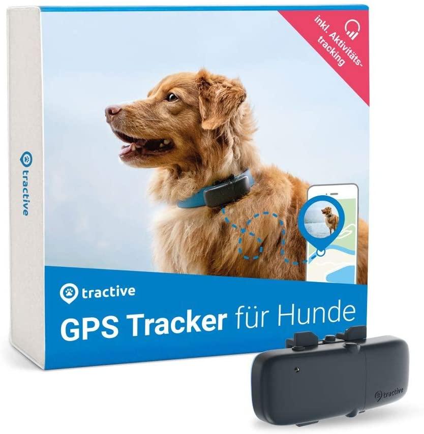Haustier via GPS tracken: Die Tractive-App überführt ihr Haustier 