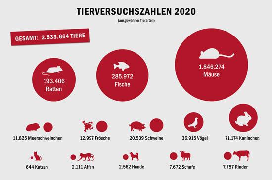 Tierversuche: Grafiken: So werden Tiere für Tierversuche in Deutschland eingesetzt