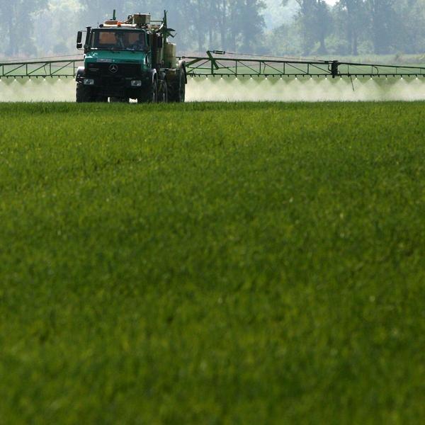 DDT: Wie das berüchtigte Pestizid die Umwelt bis heute belastet