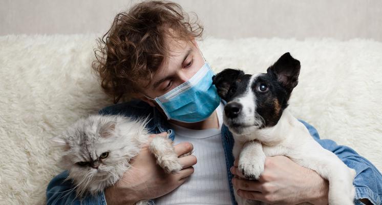 Covid 19-Sufferers pode infectar cães e gatos