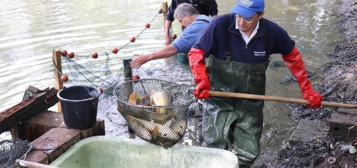 Corona: Aktuelles von der Fischerei-Fachberatung 
