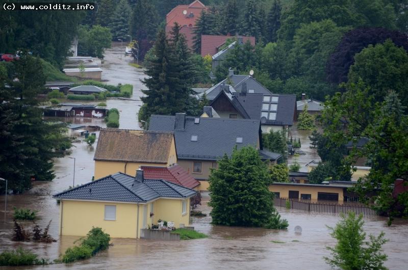 Serie de inundaciones parte 4 - Después de la inundación Llegó la inundación de girasoles en Colditz 