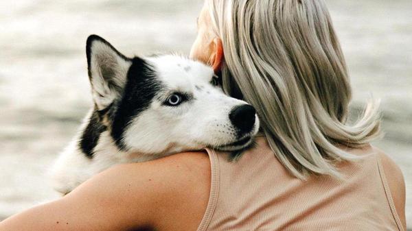 5 coisas que podemos aprender com os cães
