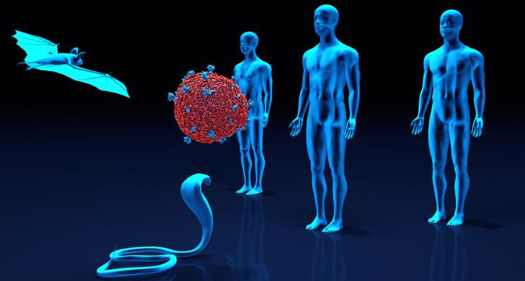 Coronakrise: Frühwarnsystem für Viren aus dem Tierreich gefordert