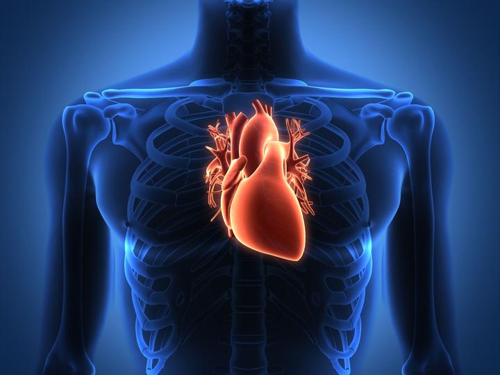 Das Herz: Alle wichtigen Infos zu Herzerkrankungen