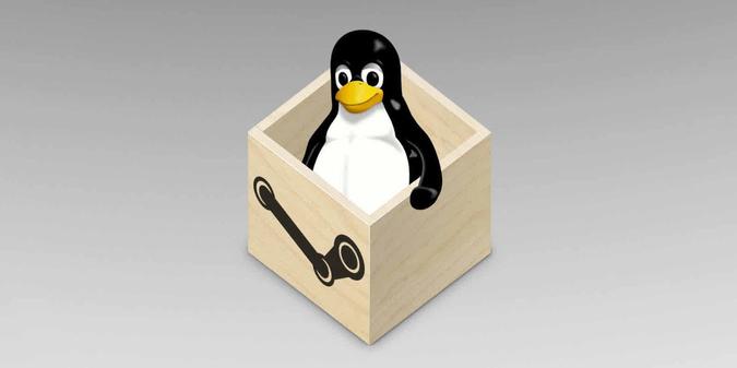 How to Get Troublesome Steam Games to Work On Linux - Make  