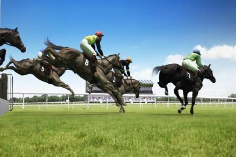Virtual Horse Racing Betting 2021 – Top Sites & Guide 