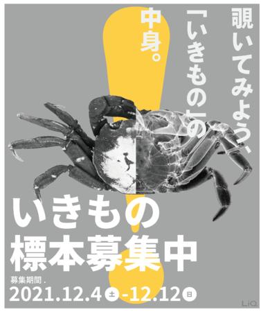 いきものの中身を覗きたい！無料で参加できる京都LiQのCTスキャン体験イベント