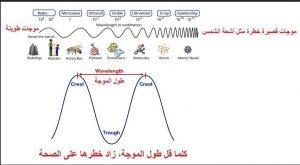 Are radiofrequency waves from cell phone towers slowly killing us?