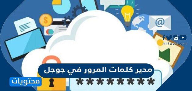 شرح كامل لبرنامج Google Password Manager 