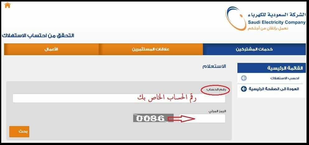معرفة فاتورة الكهرباء برقم الحساب والعداد ومعرفة طرق السداد 2021 