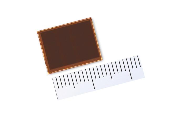 Canon has developed a 3.2 million pixel SPAD sensor with the world's highest pixels, realizing color shooting even in the dark, and also used for XR, robots and autonomous driving