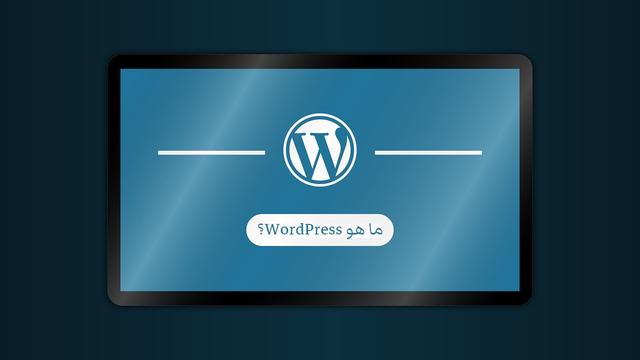 The comprehensive guide for the WordPress content system