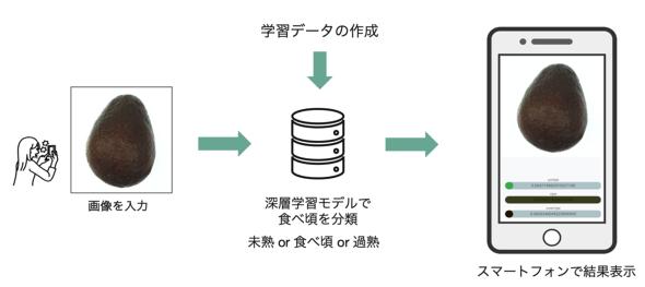 アボカドの食べ頃をスマホのカメラで評価　中京大学が深層学習技術利用でアプリ開発：Innovative Tech 