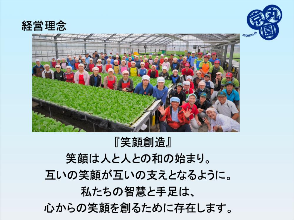 「仕事ができない子」ではなく、
その「伝え方」に問題がある
400年続く芽ネギ農園が気づかされた「農業の弱点」 