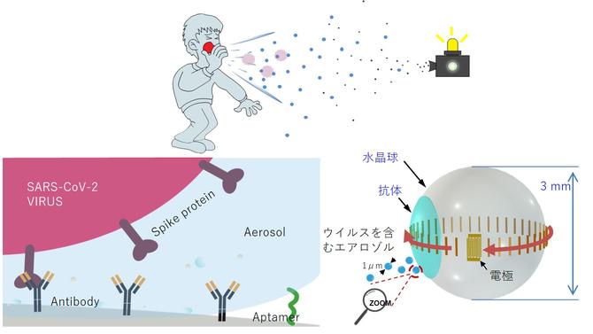 BallWave, Tohoku University, and Toyoda Gosei Jointly Develop High-Speed ​​Sensor for Novel Coronavirus