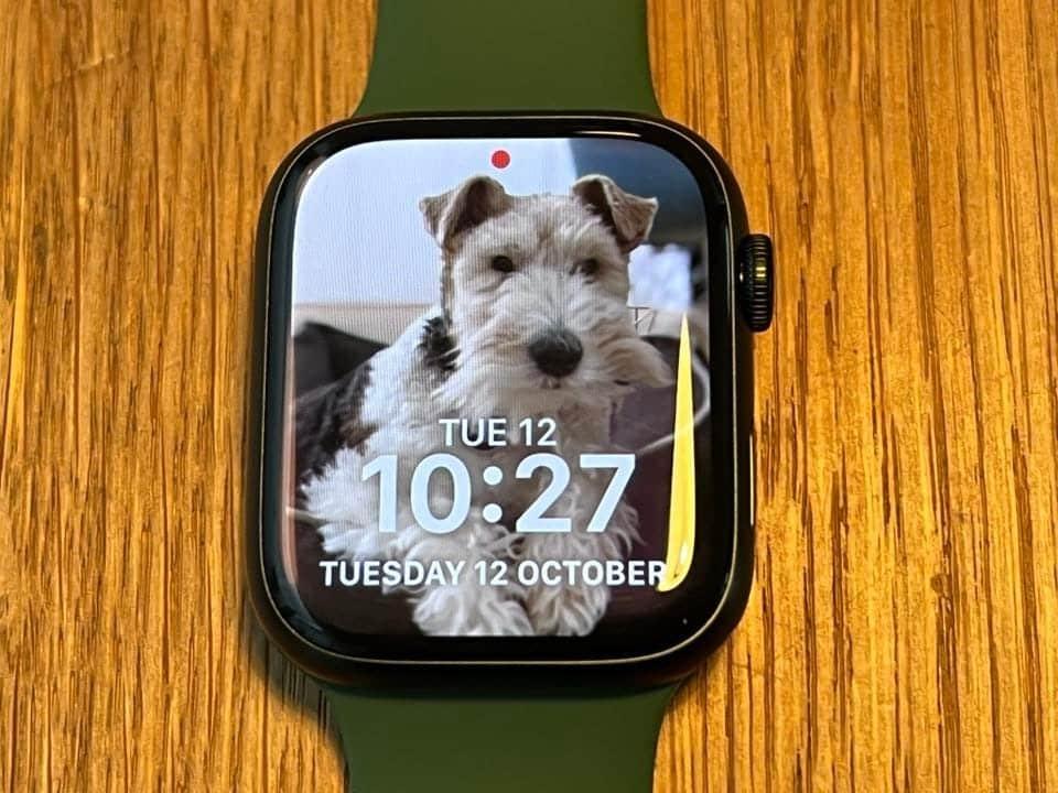 Things you didn't know about the Apple Watch 7