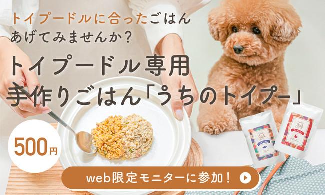 Toy poodle -only handmade rice "Our Toy Pooh" is now on sale