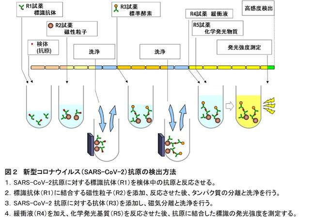 新型コロナウイルス抗原検出試薬の性能評価を実施 