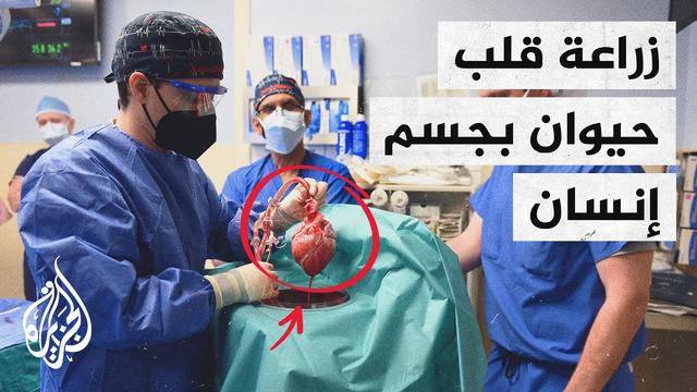  "إنسان بقلب خنزير".. لماذا يُعَدُّ نقل الأعضاء من الحيوانات أمل الطب المعاصر؟