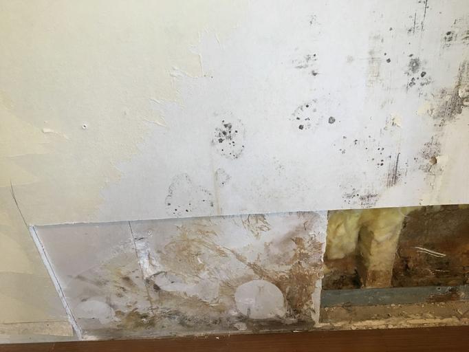 新築ほど危険!? 家の中でカビやすい場所は? 新築ほど危険!? 家の中でカビやすい場所は?