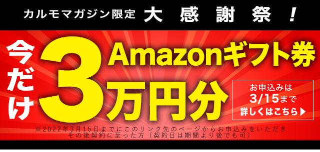  カスタムも狙える？シフォンをリースするメリットを知ろう 