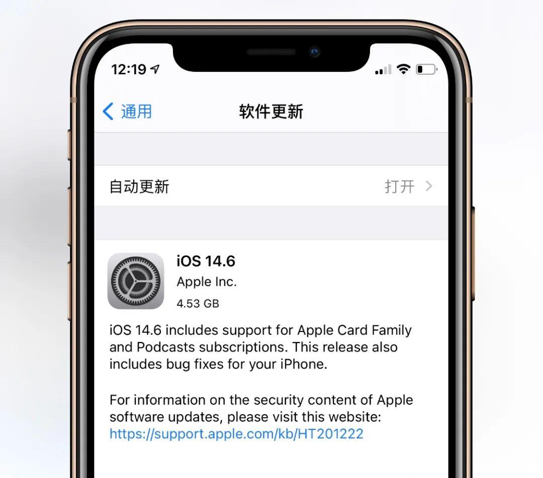 iOS14.6/iPadOS14.6 RCがリリース 