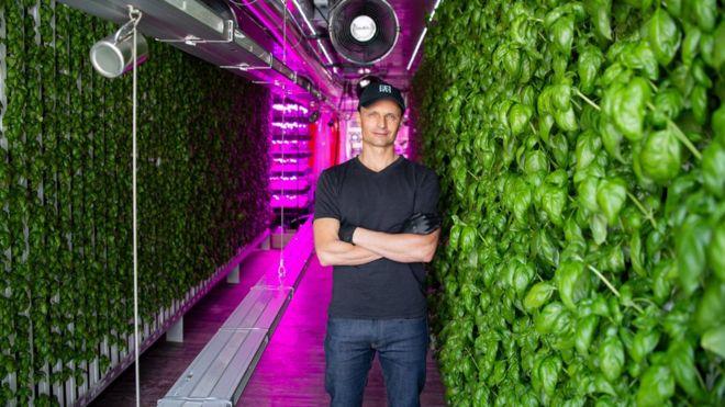 Vertical farming: The future of farming 'may be out of the sun'