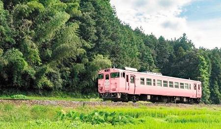 津山線 キハ40系観光列車「SAKU美SAKU楽」2022年7月運行開始＿外はピンク、なかは緑色のボックス席 