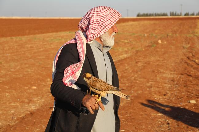 في رحلة فريدة من نوعها.. البحث عن "الطير الحر" في سوريا