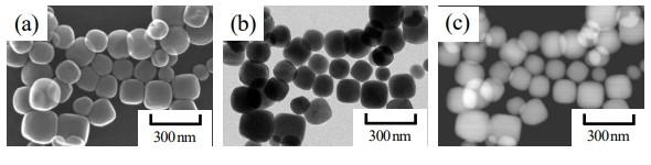 BaTiO3ナノキューブの粒径制御法を新たに開発：出発原料の粒径が大きく影響