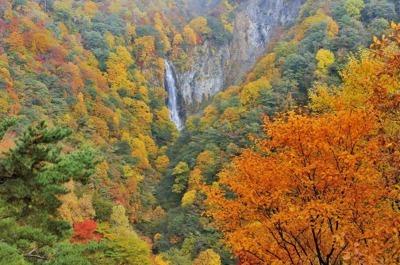 ニュース 深まる秋…志賀高原で紅葉進む　国道最高地点からの絶景も 