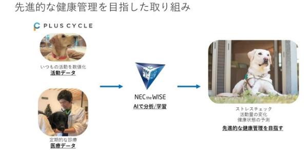 NEC　盲導犬候補の健康管理、活動量計・AIで高度化