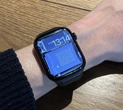 Geek bastard, Apple Watch's skeleton wallpaper has appeared