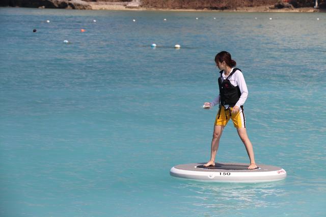 Yanmar develops a new vehicle "WHEEEBO" that can be played on the waterside