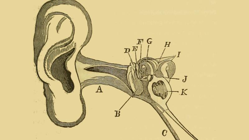 Surgically Implanted Bluetooth Devices Don’t Help Would-Be Exam Cheats | Hackaday