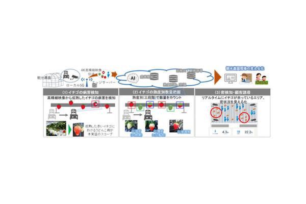 NTT東ら、ローカル5Gを活用したイチゴ栽培自動化の実現に向けた実証