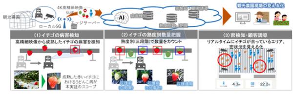 NTT東ら、ローカル5Gを活用したイチゴ栽培自動化の実現に向けた実証 