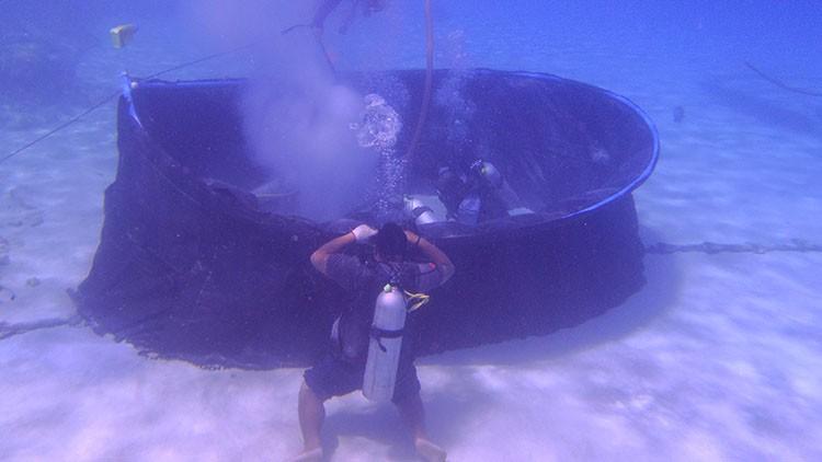 トンガの噴火で損傷、海底ケーブルとは？　長さ地球30周分、実は150年超える歴史