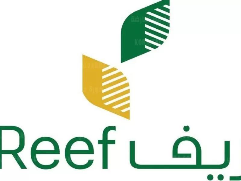 "Reef" shows the steps for modifying the mobile number for the beneficiaries