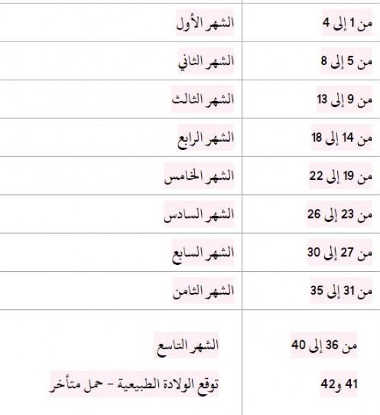 حساب موعد الولادة.. أشهر 4 طرق يمكن الاعتماد عليها 