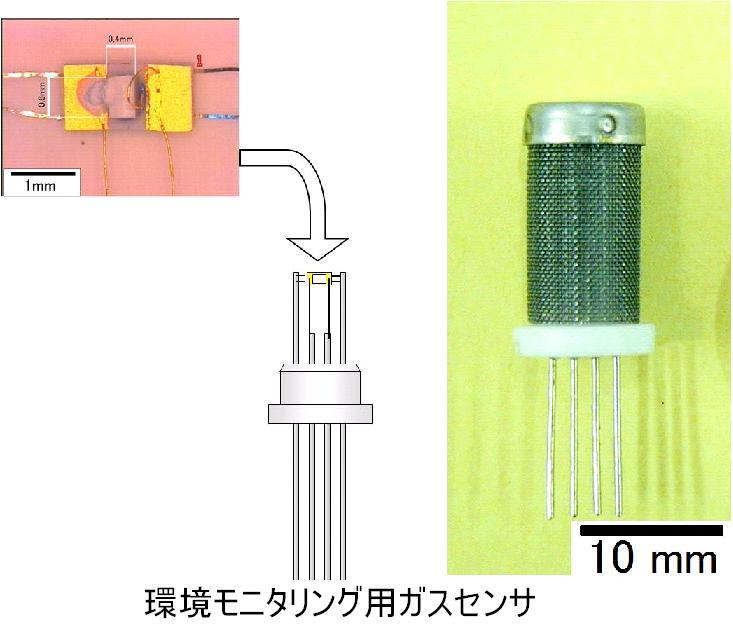 環境保全に向けたガスセンサの開発　－次世代の安全・安心のために－