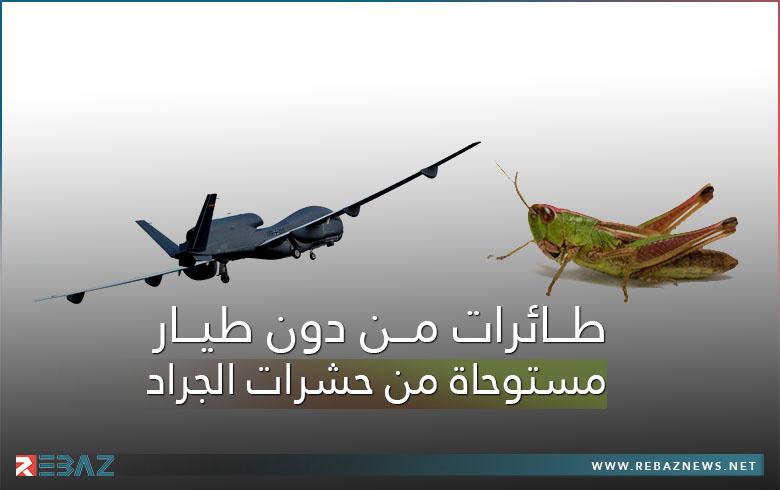 Manufacture of drones inspired by locusts