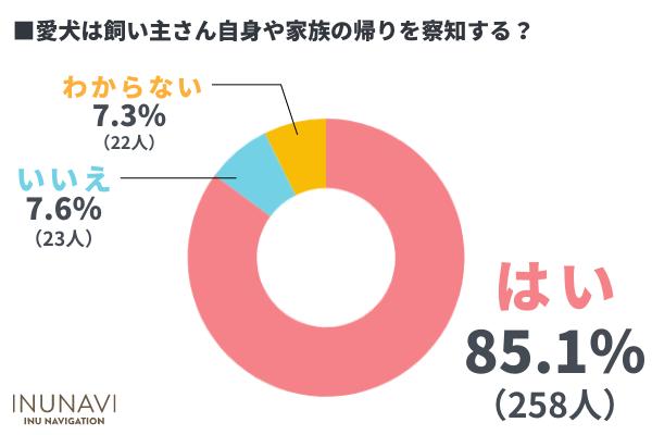 犬の秘めた能力に驚愕！飼い主の帰りを察知する犬は85.1％！病気を感知する犬も？【飼い主303人アンケート】｜INUNAVI（いぬなび） 