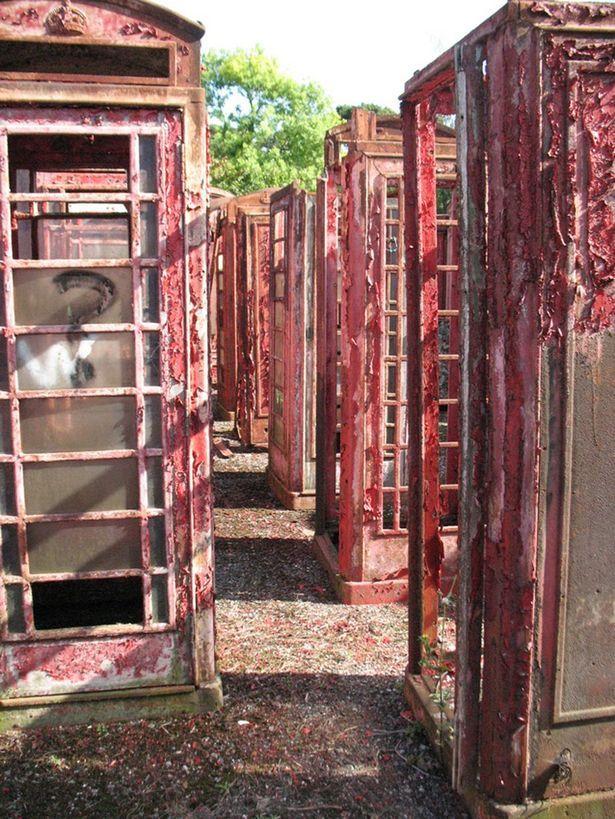Incredible 'graveyard' of British red phone boxes tucked away next to Surrey railway line 