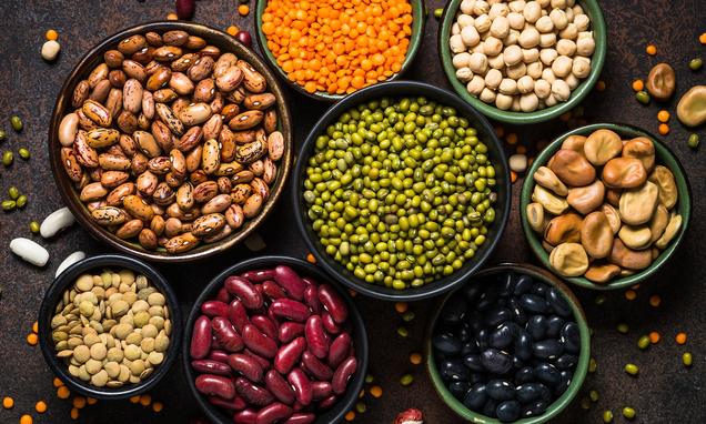 High intake of fatty acid in nuts, seeds and plant oils linked to lower risk of death High intake of fatty acid in nuts, seeds and plant oils linked to lower risk of death 