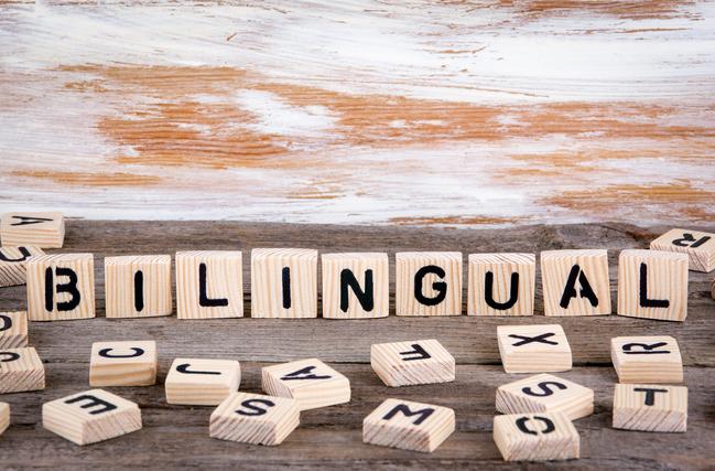Illinois hopes a  million grant will strengthen the bilingual teacher pipeline 
