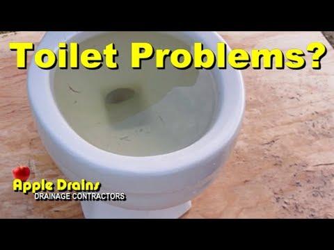 Solved! What to Do When Your Toilet Starts Overflowing 