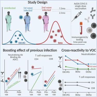 Final Analysis of Efficacy and Safety of Single-Dose Ad26.COV2.S